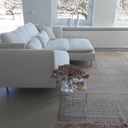 Maan B&B + Galerie Kortgene Zewnętrze zdjęcie
